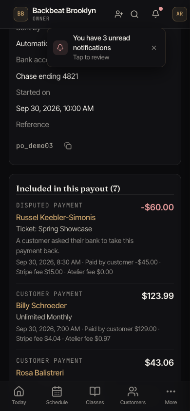 A payout with a row labeled Disputed payment that says a customer asked their bank to take the payment back.